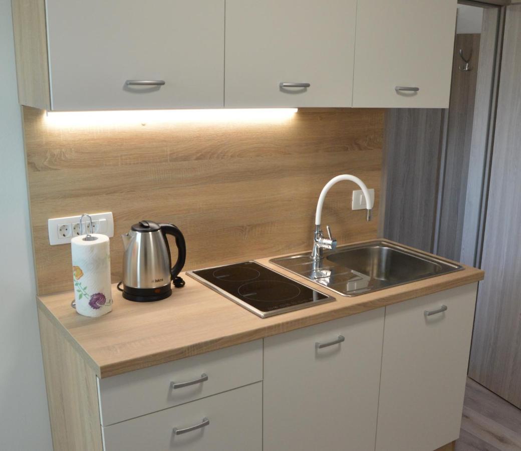 Apartma Vila Zigmund Cerknica Exteriér fotografie